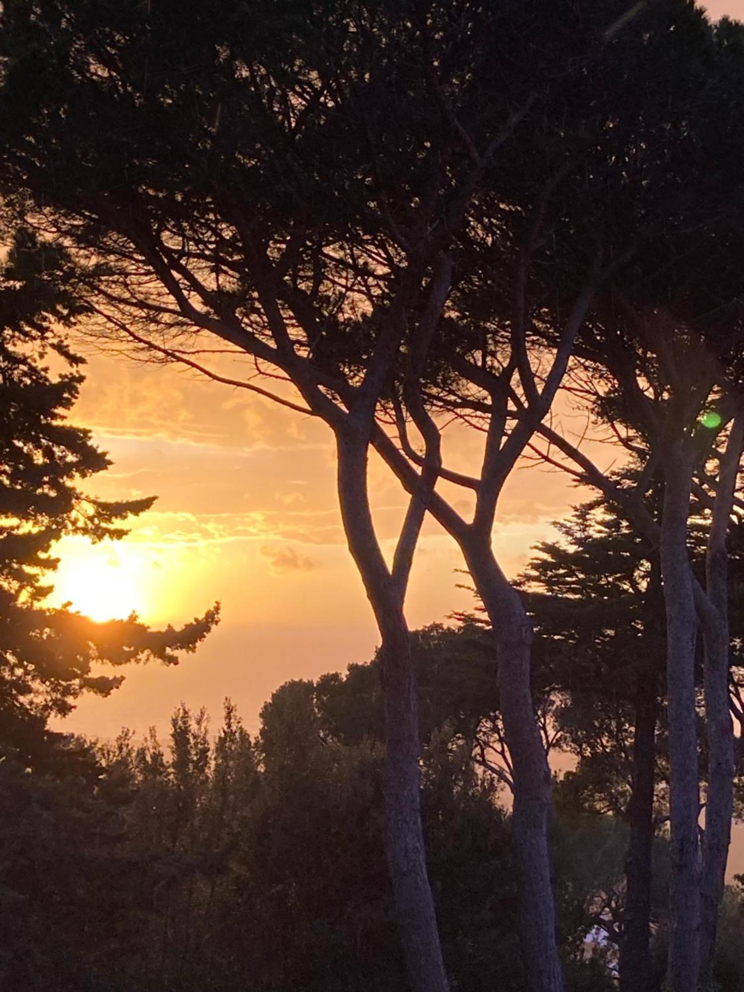 Appartmento Montenero Vista Mare Livorno Esterno foto